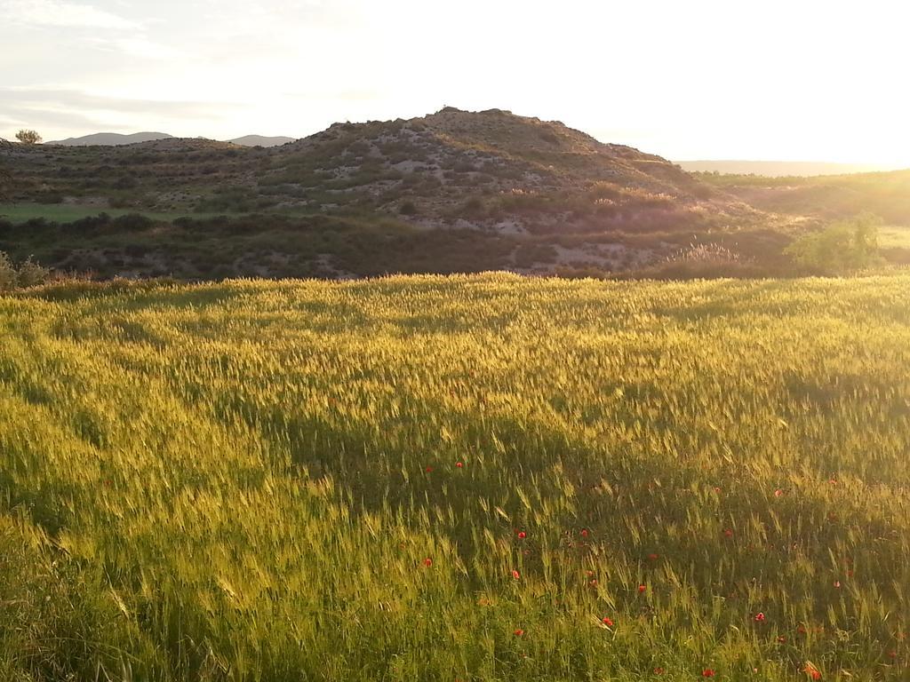 Al Jatib Lägenhet Baza Exteriör bild
